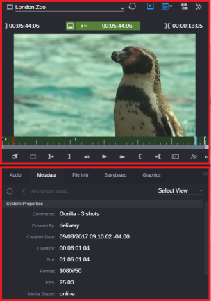 Opening a Clip in the Asset Editor