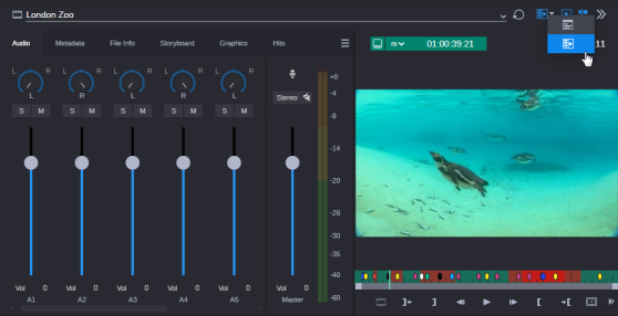 The Asset Editor