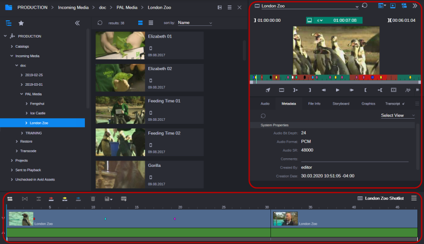 The Asset Editor