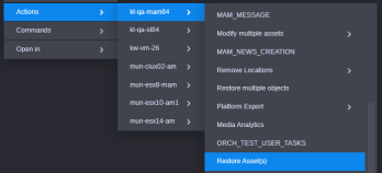 Restore Asset Action Menu